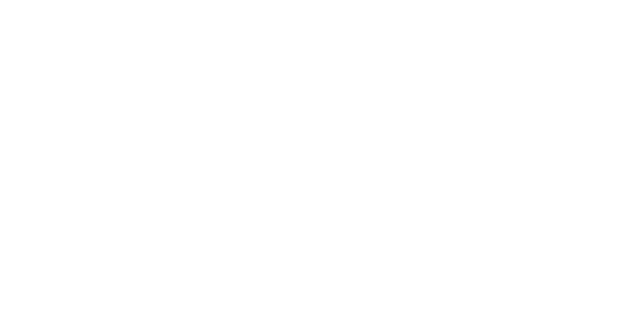 Speed Line Delivery Services